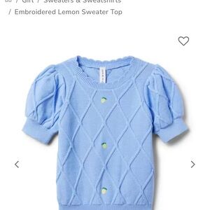 Janie and Jack  Blue Embroidered Lemon Sweater 3T